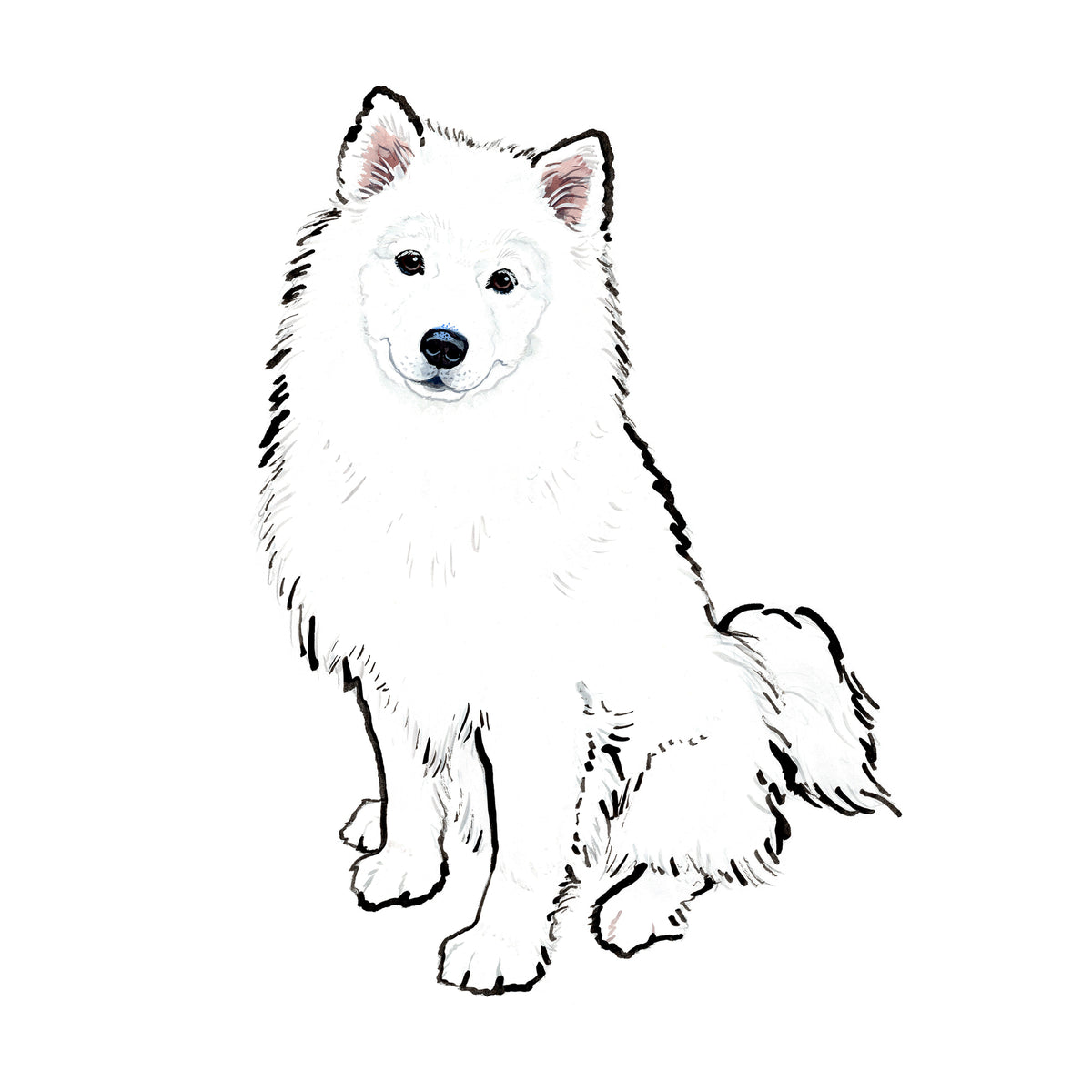 Samoyed art hot sale