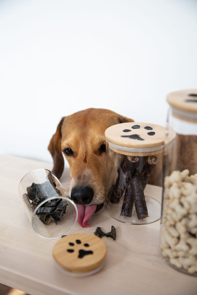 NEW! Our Custom Paw Print Treat Jars have landed!