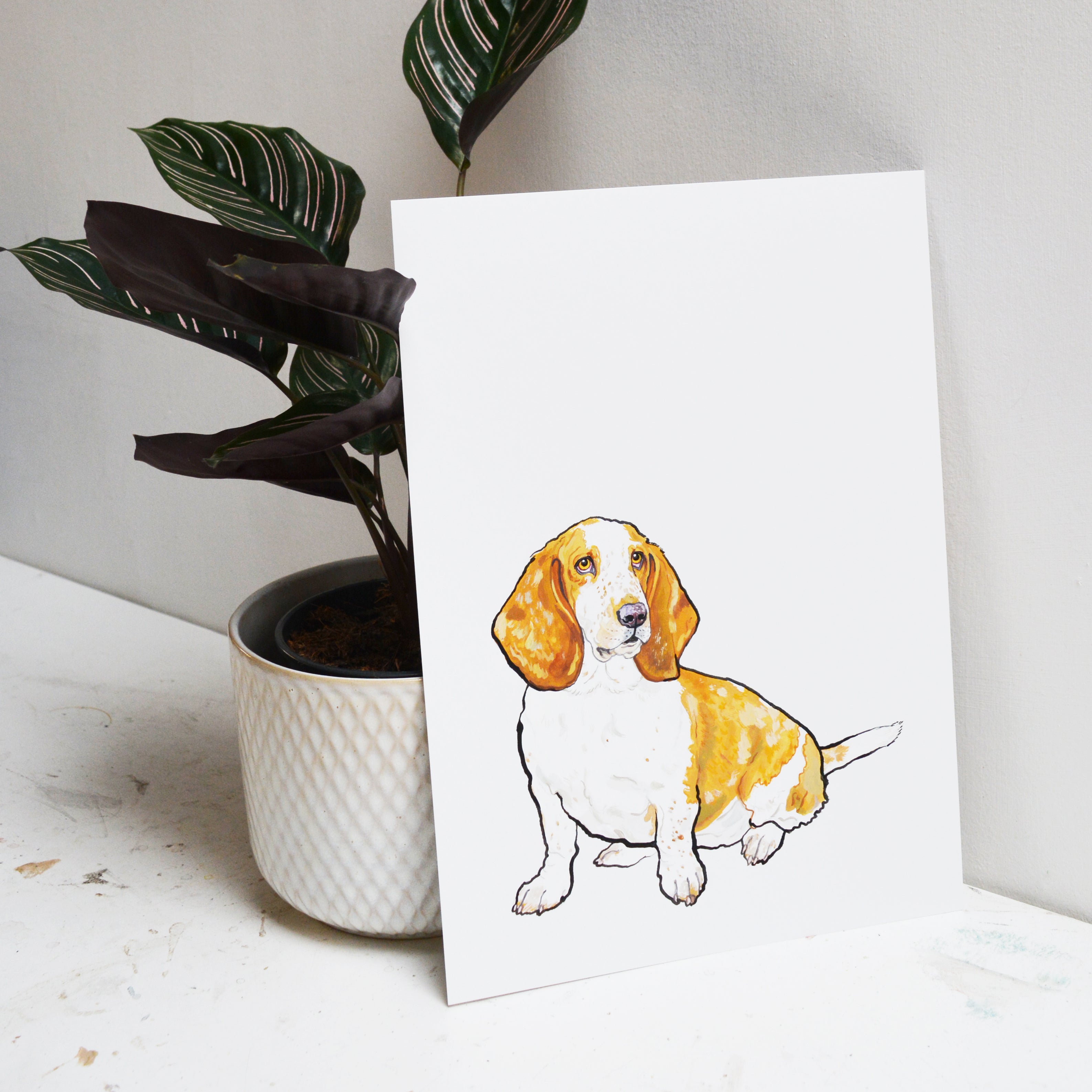 basset hound pet portrait illustration