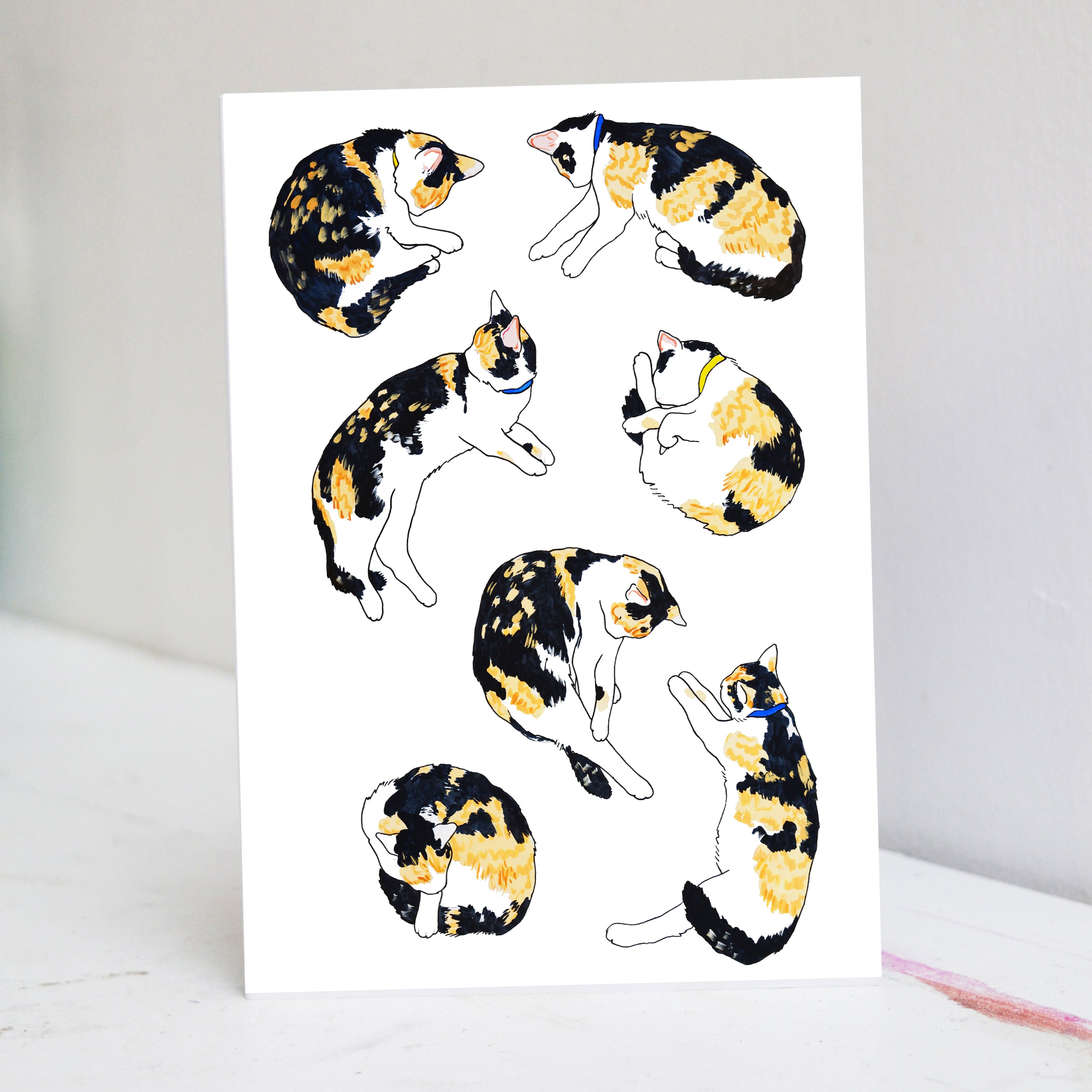 Calico Cat Nap Greetings Card