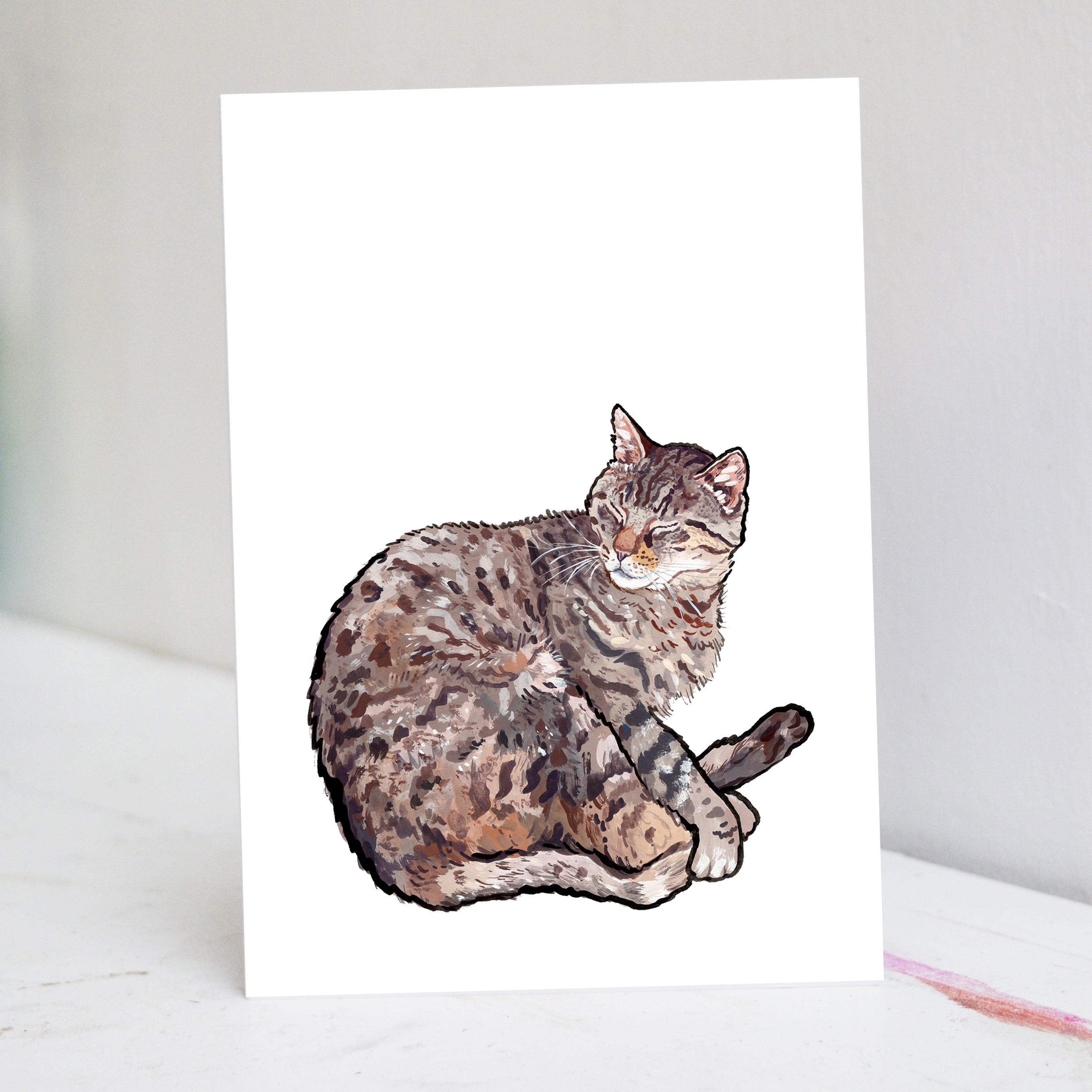 Sleeping Tabby Cat Greetings Card