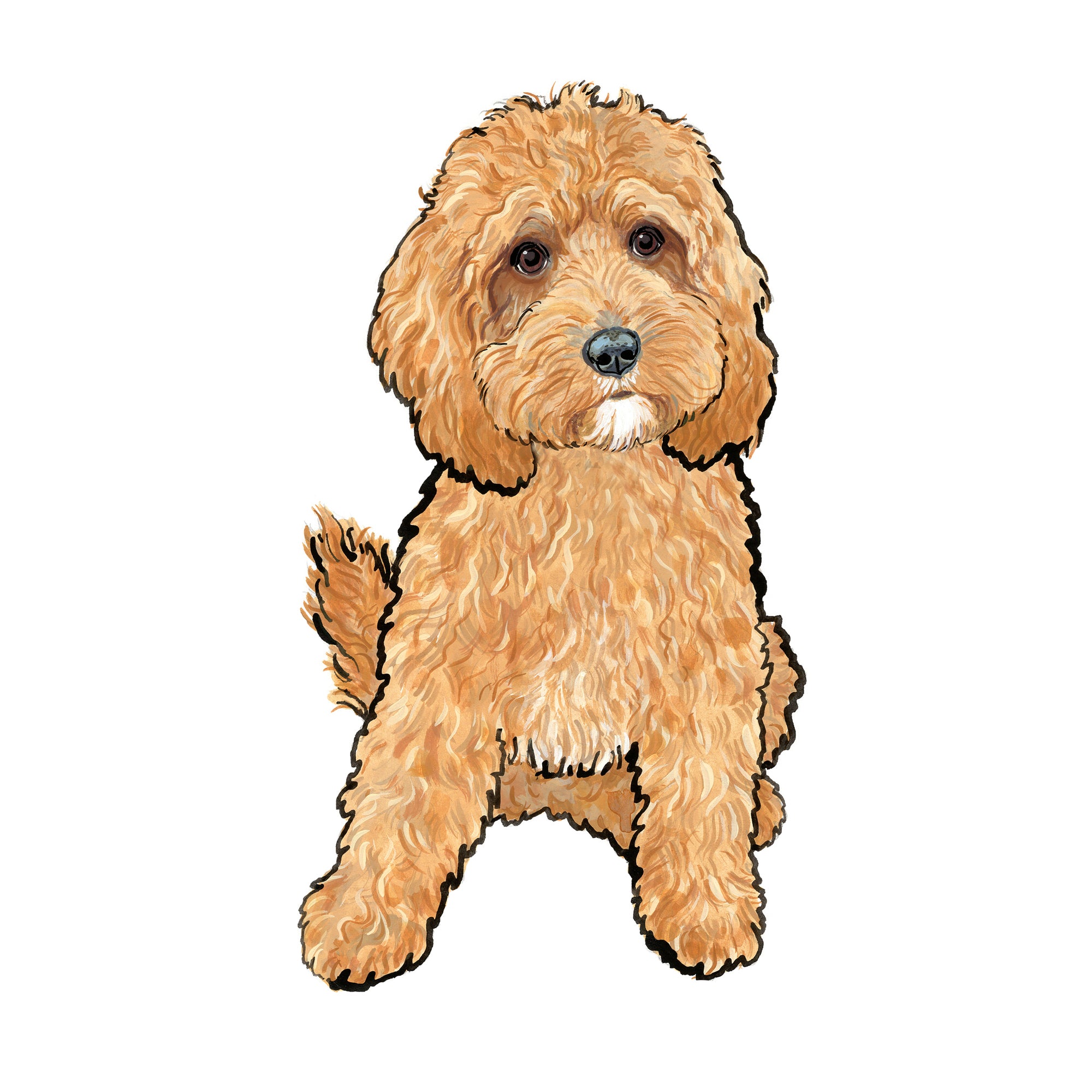 Ruby Cavapoo